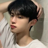 lưu vũ đình _anh_