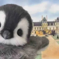 hệ thống 905_lialis