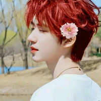 Hạ Tuấn Lâm