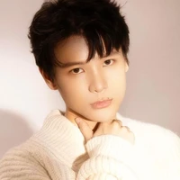 Phạm Đình Thái Ngân - Phamdinh_thaingan