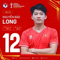 Nguyễn Bảo Long
