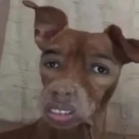 nhóm na9 nguyên tác 