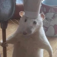 nhân viên quán cafe