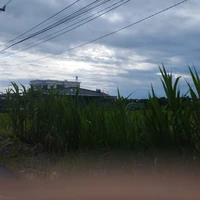 Nhân vật phụ