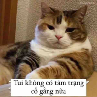 Cân tất cả các nghề:)