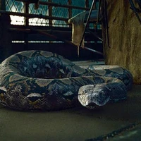 Nagini