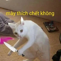 tất cả học sinh