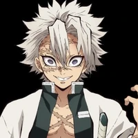 shinazugawa Sanemi