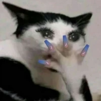 Tác giả nạnh nùng