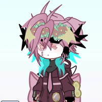 hiha prime