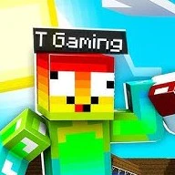 T- Gaming