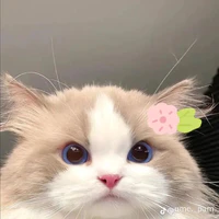 Tác giả Shiny