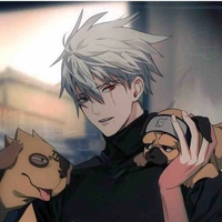 Kakashi