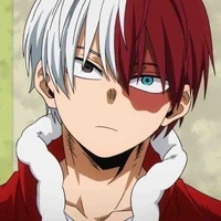 Shouto todoroki