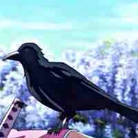 Quạ mất nết