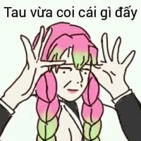cân mọi nv
