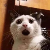 NTP Qt hay ko kệ bạn(trừ ai thì trừ)