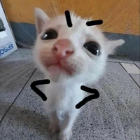 T/g