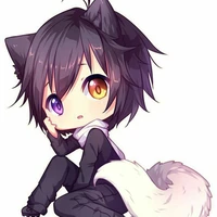 sidao ( hệ thống 528)