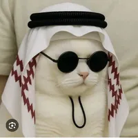 Tác giả cute