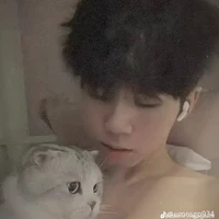 phoenix(hữu đạt)