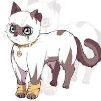 kami