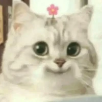 tất cả mọi người ở đó