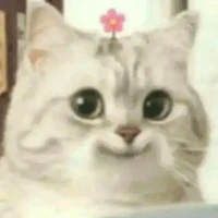 tất cả mọi người ở đó
