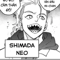 ° Shimada Neo