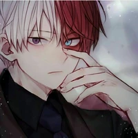 Todoroki Shouto🍰