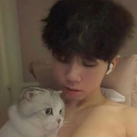 hữu đạt /phoenix