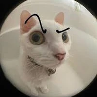 t/g mê otp gấu <33