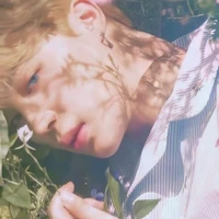 Park Jimin_Anh