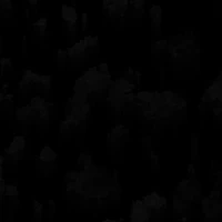 Nhân vật bí ẩn