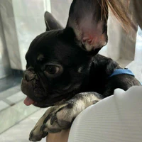 Bonbon