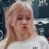 Park Chaeyoung ( Nàng )