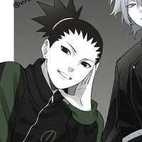 Nara Shikadai