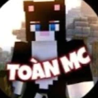 toàn/ mèo đen/