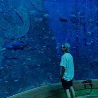 Hoàng Phúc•SGP Fish