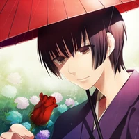 Japan - Kiku