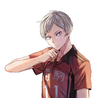 Lev Haiba