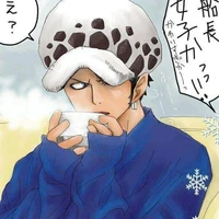 Trafalgar D water Law