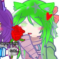 •Shiyanru•t/g