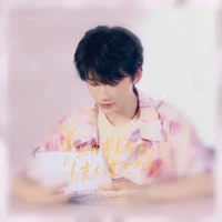 Dư Vũ Hàm/Dư tổng