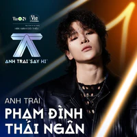 Phạm Đình Thái Ngân