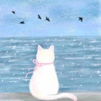 Nvat tổng hợp nữ