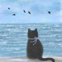 Nvat tổng hợp nam