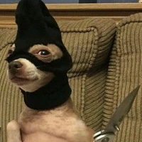 tác giả