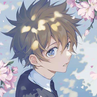 Sawada Tsunayoshi