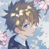 Sawada Tsunayoshi